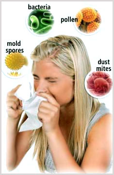 Allergens impacting indoor air quality (mold spores, bacteria, pollen, dust mites)
